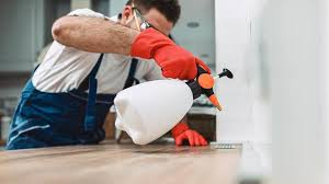 Professional Pest Control in Watergate, FL